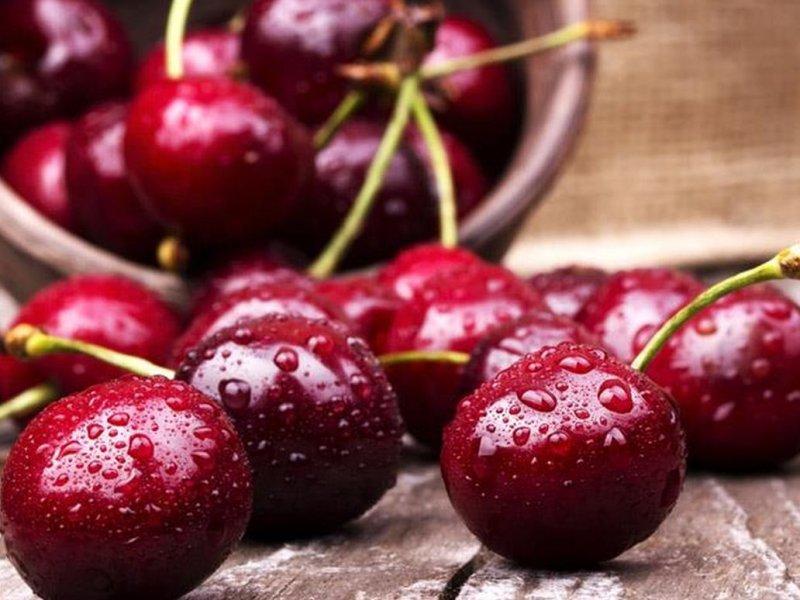 Вишня купить саженцы из питомника в Новомосковске